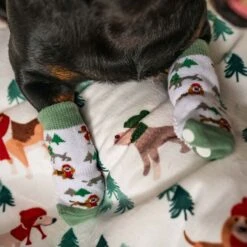 TIAKI Pet & Parent Winter Socks Set: Pet Socks (2 Pairs) & Pawrent Socks (1 Pair) -Zoo Plus 1 485797 485798 zhongda pet hs 02 0