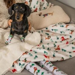 TIAKI Pet & Parent Winter Socks For Dog Pawrents: One Size (36 - 41 / 1 Pair) -Zoo Plus 1 485797 485798 zhongda pet hs 04 3 2