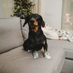 TIAKI Pet & Parent Winter Socks For Pets: One Size (2 Pairs) -Zoo Plus 1 485797 485798 zhongda pet hs 09 1 1