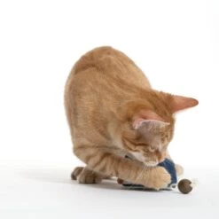 TIAKI Electronic Play Mouse For Cats 1 Toy -Zoo Plus 1 501852 cat fg 1651 6