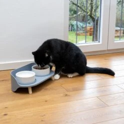 TIAKI Ceramic Bowl Duo 2 X 450 Ml, Diameter 12.5 Cm -Zoo Plus 302496 duo napf mit katze fg 0999 5