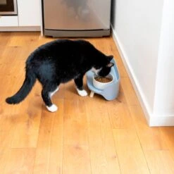 TIAKI Ceramic Bowl Duo 2 X 450 Ml, Diameter 12.5 Cm -Zoo Plus 302496 tiaki keramiknapf duo 9