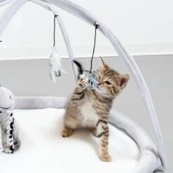 TIAKI Play Arch Harmony 1 Piece 26 TIAKI Play Arch Harmony 1 Piece -Zoo Plus 309496 harmony cat gym fg neu 1523 9