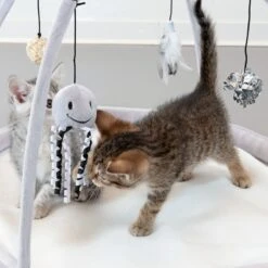 TIAKI Play Arch Harmony 1 Piece 18 TIAKI Play Arch Harmony 1 Piece -Zoo Plus 309496 harmony cat gym fg neu 1526 3