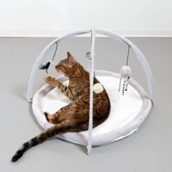 TIAKI Play Arch Harmony 1 Piece 24 TIAKI Play Arch Harmony 1 Piece -Zoo Plus 309496 harmony cat gym fg neu 1547 6