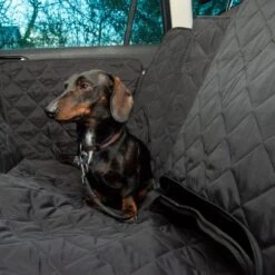 TIAKI Hammock Car Seat Cover 219 X 148cm (L X W) -Zoo Plus 316796 hammok im auto fg 6337 4