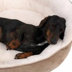 TIAKI Dog Bed Throne Ø 65 X H 24 Cm -Zoo Plus 317996 tiaki hundebett throne hs 20 2