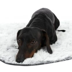 TIAKI Dog Blanket Cloud L 140 X W 125 Cm -Zoo Plus 318000 tiaki hundedecke decke cloud hs 20 3 1