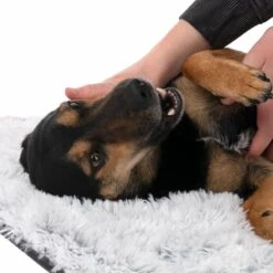 TIAKI Dog Blanket Cloud L 140 X W 125 Cm -Zoo Plus 318000 tiaki hundedecke decke cloud hs 23 7 1