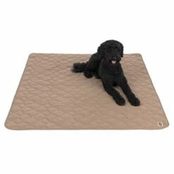 TIAKI Dog Blanket Toffee L 140 X W 125 Cm -Zoo Plus 318003 tiaki decke toffee hs 13 9