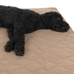 TIAKI Dog Blanket Toffee L 140 X W 125 Cm -Zoo Plus 318003 tiaki decke toffee hs 19 5