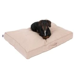 TIAKI Memory Foam Dog Mattress - Beige M: 100 X 70 X 18cm (L X W X H) 20 TIAKI Memory Foam Dog Mattress - Beige M: 100 X 70 X 18cm (L X W X H) -Zoo Plus 318697 tiaki hundematratze beige fg 5020 2 1