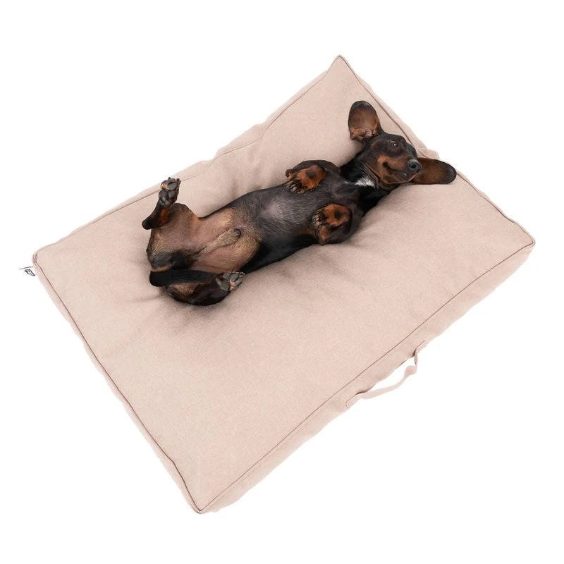 TIAKI Memory Foam Dog Mattress - Beige S: 80 X 60 X 17cm (L X W X H) 4 TIAKI Memory Foam Dog Mattress - Beige S: 80 X 60 X 17cm (L X W X H) - Image 4