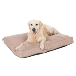 TIAKI Memory Foam Dog Mattress - Beige S: 80 X 60 X 17cm (L X W X H) 19 TIAKI Memory Foam Dog Mattress - Beige S: 80 X 60 X 17cm (L X W X H) -Zoo Plus 318698 mit hund fg 5093 8