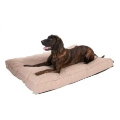 TIAKI Memory Foam Dog Mattress - Beige M: 100 X 70 X 18cm (L X W X H) 21 TIAKI Memory Foam Dog Mattress - Beige M: 100 X 70 X 18cm (L X W X H) -Zoo Plus 318699 mit hund fg 5104 1 1