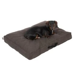 TIAKI Dog Mattress Memory Foam, Brown L: L 120 X W 90 X H 19 Cm 23 TIAKI Dog Mattress Memory Foam, Brown L: L 120 X W 90 X H 19 Cm -Zoo Plus 318700 tiaki hundematzratze braun fg 5055 3
