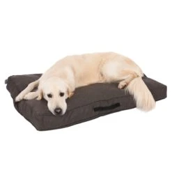 TIAKI Dog Mattress Memory Foam, Brown S: L 80 X W 60 X H 17 Cm -Zoo Plus 318701 mit hund fg 5083 6 1