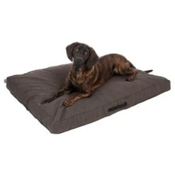 TIAKI Dog Mattress Memory Foam, Brown L: L 120 X W 90 X H 19 Cm 24 TIAKI Dog Mattress Memory Foam, Brown L: L 120 X W 90 X H 19 Cm -Zoo Plus 318702 mit hund fg 5116 0