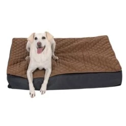 TIAKI Orthopaedic Dog Mattress Outdoor L 90 X W 60 X H 15 Cm -Zoo Plus 320196 orth matratze outdoor fg 2399 1 1