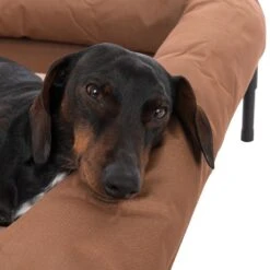 TIAKI Sun Dog Lounger Cream/ Brown, Size L: 91 X 76 X 18cm (L X W X H) -Zoo Plus 320897 tiaki hundesofa sun cream fg 8401 8 2