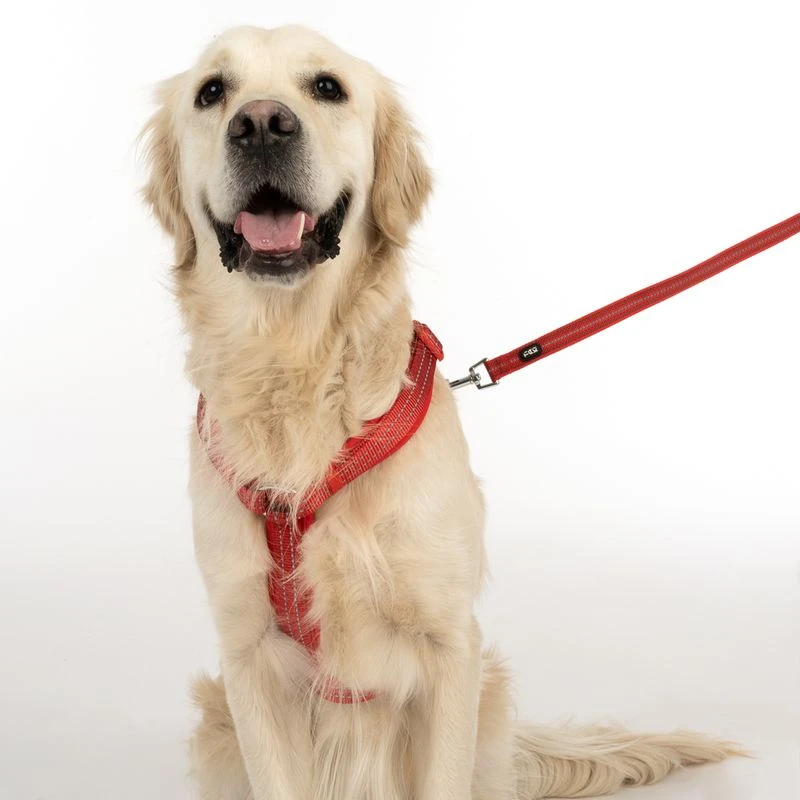 TIAKI Harness Neoprene - Red Size M: 42 - 74 Cm Chest Circumference 9 TIAKI Harness Neoprene - Red Size M: 42 - 74 Cm Chest Circumference - Image 9