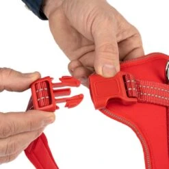 TIAKI Harness Neoprene - Red Size L: 52 - 88 Cm Chest Circumference -Zoo Plus 323006 neoprene geschirr xl fg 1475 7