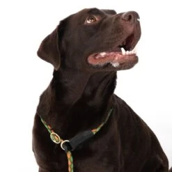 TIAKI Retriever Leash Twist 170 Cm Long, Ø 12 Mm - Blue/grey -Zoo Plus 323008 twist 1 7m fg neu 8809 7 1