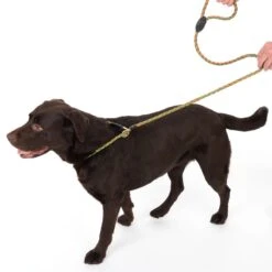 TIAKI Retriever Leash Twist 170 Cm Long, Diameter 12 Mm - Green/brown -Zoo Plus 323008 twist 1 7m fg neu 8815 2