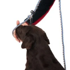 TIAKI Retriever Leash Twist 170 Cm Long, Ø 12 Mm - Blue/grey -Zoo Plus 323009 twist 1 7m fg neu 8786 9 1