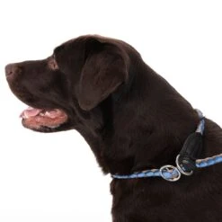 TIAKI Retriever Leash Twist 170 Cm Long, Ø 12 Mm - Blue/grey -Zoo Plus 323009 twist 1 7m fg neu 8794 5 1