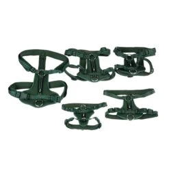 TIAKI Harness Neoprene - Green Size XS: 28 - 42 Cm Chest Circumference -Zoo Plus 323012 323016 323019 323025 323698 neoprene geschirre fg psd 1541 6 3