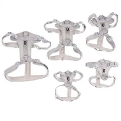 Zoo Plus -Zoo Plus 323030 323031 323032 323034 neoprene geschirre fg 8088 8 3