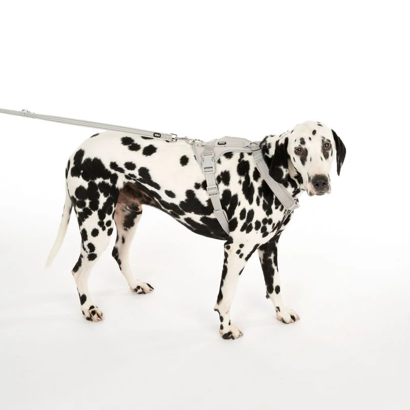 TIAKI Neoprene Harness - Grey Size XS: 28 - 42cm Chest Circumference 11 TIAKI Neoprene Harness - Grey Size XS: 28 - 42cm Chest Circumference - Image 11