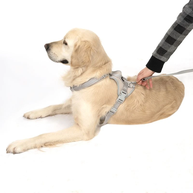 TIAKI Neoprene Harness - Grey Size XS: 28 - 42cm Chest Circumference 4 TIAKI Neoprene Harness - Grey Size XS: 28 - 42cm Chest Circumference - Image 4