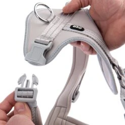 TIAKI Neoprene Harness - Grey Size M: 42 - 74cm Chest Circumference -Zoo Plus 323034 neoprene geschirr xl grau fg 8080 0 2