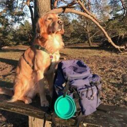 TIAKI Turquoise Silicone Travel Bowl 500ml -Zoo Plus 329010 tiaki silicone travel bowl 500 turquoise 08 5