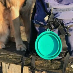 TIAKI Turquoise Silicone Travel Bowl 500ml -Zoo Plus 329010 tiaki silicone travel bowl 500 turquoise 09 2