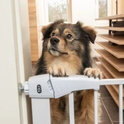TIAKI White Dog Gate With 7 Cm Extension Height 76 Cm, Width 75 To 82 Cm 17 TIAKI White Dog Gate With 7 Cm Extension Height 76 Cm, Width 75 To 82 Cm -Zoo Plus 334597 tiaki dog gate white fg 8198 1