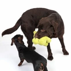 TIAKI Dog Toy Diplodocus Approx. L 45 X W 28 X H 12 Cm -Zoo Plus 337497 diplodocus fg 6768 1