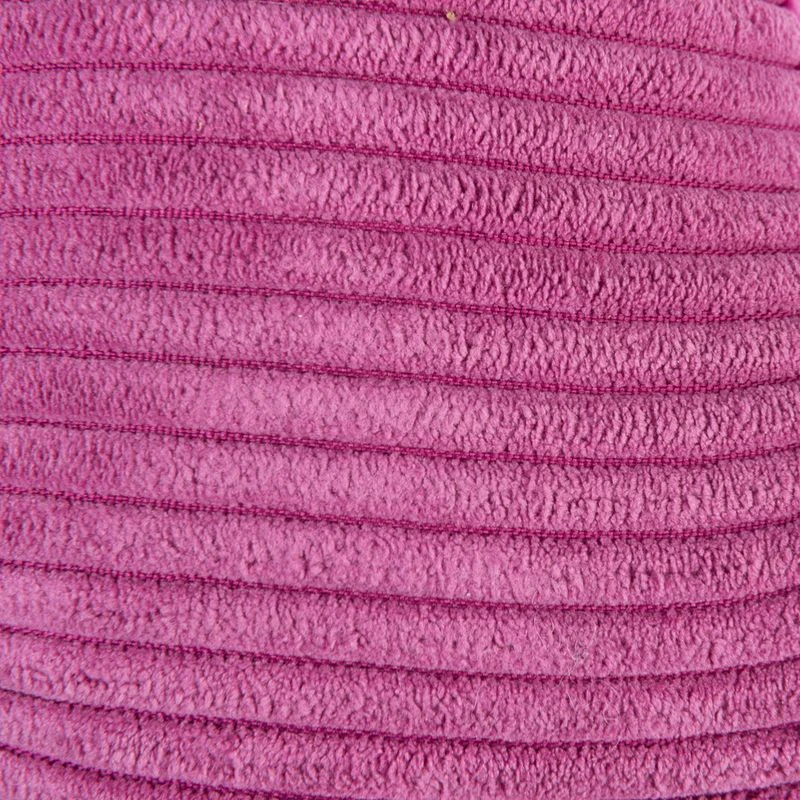 TIAKI Dog Toy D-Rex Approx. L 37 X W 16 X H 16 Cm 10 TIAKI Dog Toy D-Rex Approx. L 37 X W 16 X H 16 Cm - Image 10