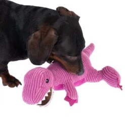 TIAKI Dog Toy D-Rex Approx. L 37 X W 16 X H 16 Cm 16 TIAKI Dog Toy D-Rex Approx. L 37 X W 16 X H 16 Cm -Zoo Plus 337498 t rex fg 6451 5