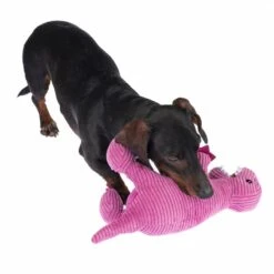 TIAKI Dog Toy D-Rex Approx. L 37 X W 16 X H 16 Cm 13 TIAKI Dog Toy D-Rex Approx. L 37 X W 16 X H 16 Cm -Zoo Plus 337498 t rex fg 6455 8