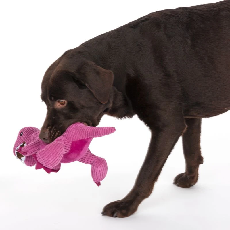 TIAKI Dog Toy D-Rex Approx. L 37 X W 16 X H 16 Cm 11 TIAKI Dog Toy D-Rex Approx. L 37 X W 16 X H 16 Cm - Image 11