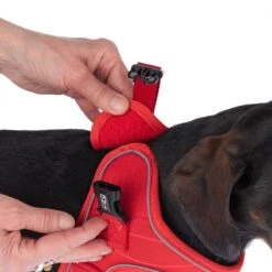 TIAKI Harness Wave Vest - Red Size M: 46cm Chest Circumference -Zoo Plus 338698 tiaki wave vest m fg 8936 6 2