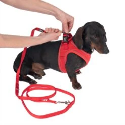 TIAKI Harness Wave Vest - Red Size M: 46cm Chest Circumference -Zoo Plus 338698 tiaki wave vest m fg 8947 3 2