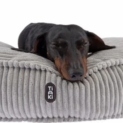 TIAKI Conner Cuddly Cushion 70 X 12cm (Diameter X H) -Zoo Plus 343497 kuschelkissen conner fg 8282 6