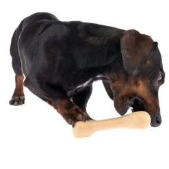 TIAKI Rubber Bone Dog Toy 15 X 4.5 X 3.5cm (L X W X H) -Zoo Plus 351996 rubber bone dog toy fg 9281 5