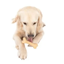 TIAKI Rubber Bone Dog Toy 15 X 4.5 X 3.5cm (L X W X H) -Zoo Plus 351996 rubber bone dog toy fg 9380 7