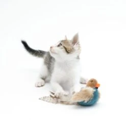 TIAKI Electronic Cat Toy Pipo 1 Toy -Zoo Plus 357700 cat fg 0543 4