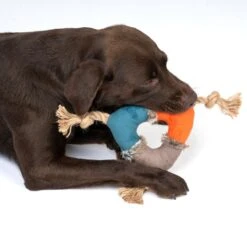 TIAKI Three-Sided Plush Rope 17cm (Diameter) -Zoo Plus 359397 threeside rope dog fg 0263 8